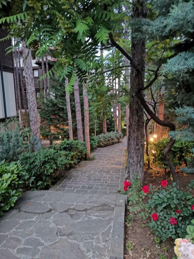 Quiet Apartment With Big Terrace In Santa Marina With Parking Sozopol Bagian luar foto